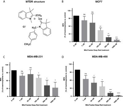 MitoTracker Deep Red (MTDR) Is a Metabolic Inhibitor for Targeting Mitochondria and Eradicating Cancer Stem Cells (CSCs), With Anti-Tumor and Anti-Metastatic Activity In Vivo